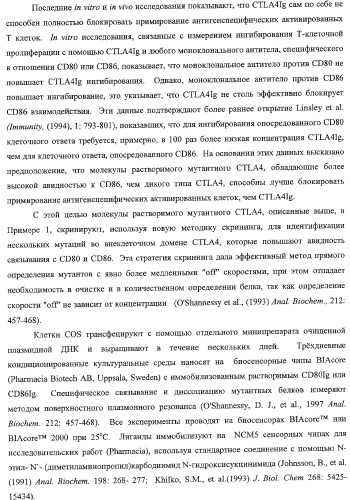 Способ лечения сердечно-сосудистого заболевания с применением растворимого ctla4 (патент 2353384)