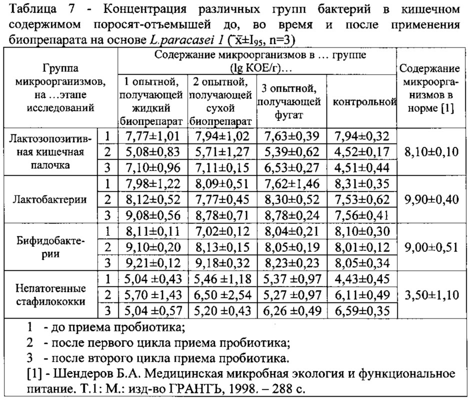 Lactobacillus paracasei препараты. Штамм микроорганизмов это.