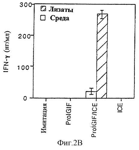 Ингибиторы фермента, конвертирующего интерлейкин-1- (патент 2249598)