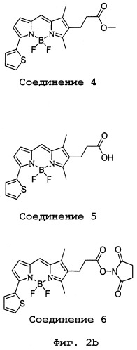 Красители на основе дифторида дипиррометенбора с двухфотонным поглощением и их применение (патент 2296333)