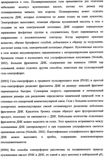 Иммуногенная композиция и способ разработки вакцины, основанной на участках связывания фактора н (патент 2364413)