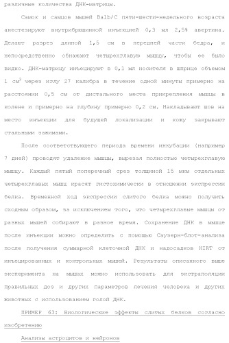 Слитые белки альбумина (патент 2369404)
