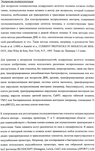 Антитела человека, обладающие активностью связывания c mn и нейтрализации клеточной адгезии (патент 2317998)