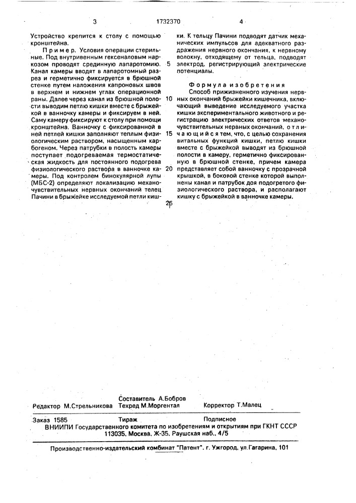 Способ прижизненного изучения нервных окончаний брыжейки кишечника (патент 1732370)