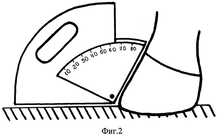 Угломер копытный (патент 2445773)