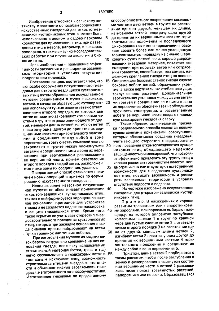 Способ сооружения искусственного гнездовья для открытогнездящихся кустарниковых птиц (патент 1697650)