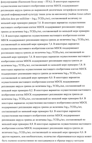 Линии клеток почки собаки майдин-дэрби (mdck), поддерживающие рост вирусов до высоких титров, и способ применения этих клеток в биореакторе (патент 2487935)