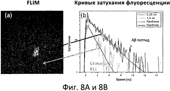 Система и способ для обнаружения амилоидных белков (патент 2577810)