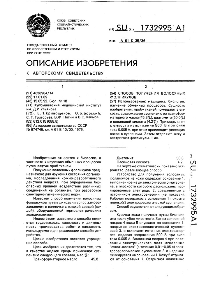 Способ получения волосяных фолликулов (патент 1732995)