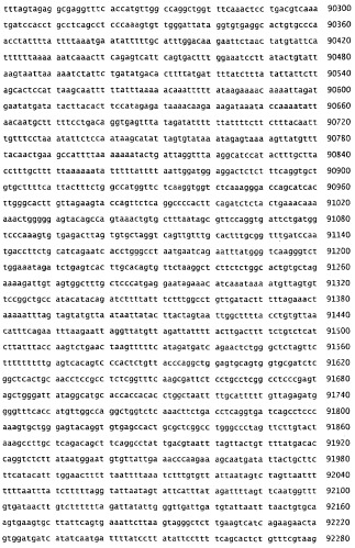 Применение s1p (патент 2362565)