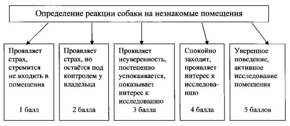 Способ определения рабочих качеств служебных собак (патент 2621382)