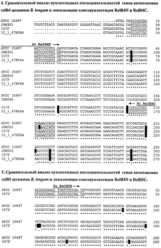 Способ видовой и штаммовой идентификации бифидобактерий филотипа bifidobacterium longum (патент 2527069)