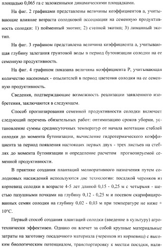 Способ прогнозирования семенной продуктивности солодки (патент 2364078)