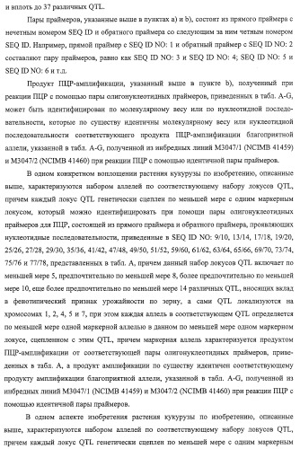 Новые растения кукурузы (патент 2423528)