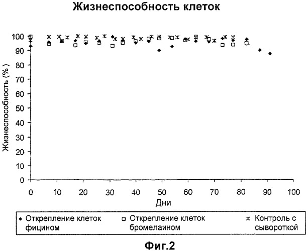 Способ культивирования клеток без компонентов животного происхождения (патент 2369634)