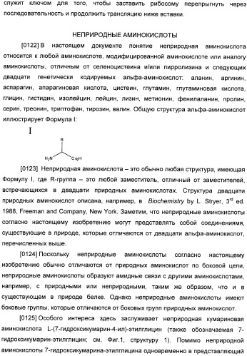 Генетически кодируемые флюоресцентные кумариновые аминокислоты (патент 2473690)