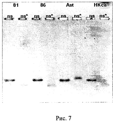 Штамм вируса гриппа а/гонконг/1/68/162/35 (h3n2)-универсальный донор внутренних генов для реассортантов и реассортантные штаммы а/спб/гк/09 (h1n1) и а/нк/astana/6:2/2010 (h5n1), полученные на его основе (патент 2511431)