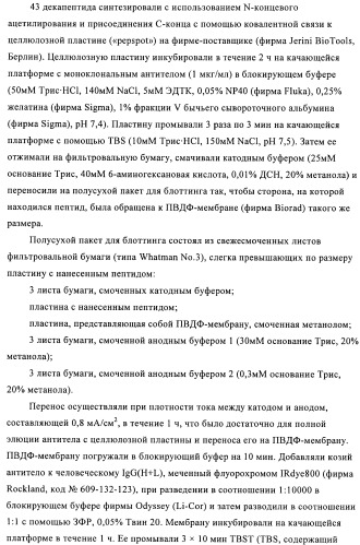 Антитела к амилоиду бета 4, имеющие гликозилированную вариабельную область (патент 2438706)