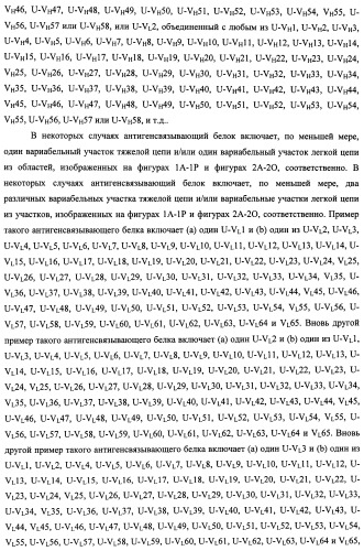 Белки, связывающие антиген фактор роста, подобный гепаринсвязывающему эпидермальному фактору роста (патент 2504551)