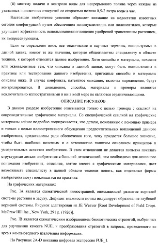 Изолированные полипептиды, кодирующие их полинуклеотиды, экспрессирующие их трансгенные растения и способы их использования (патент 2487166)