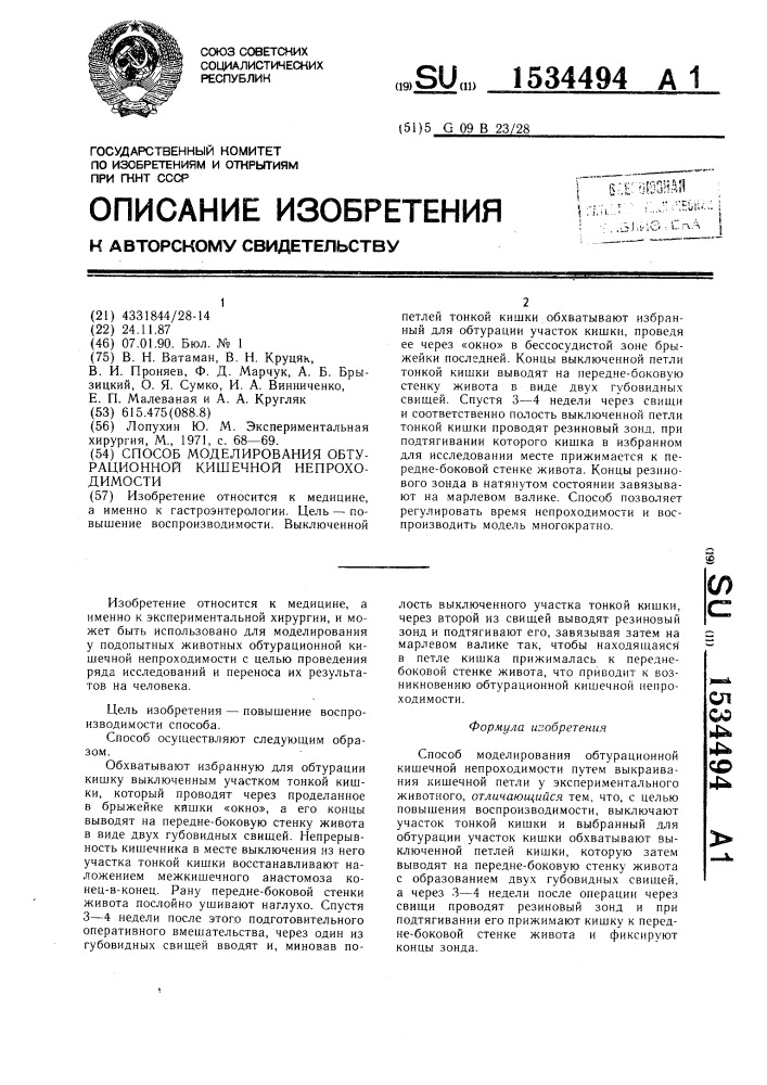 Способ моделирования обтурационной кишечной непроходимости (патент 1534494)