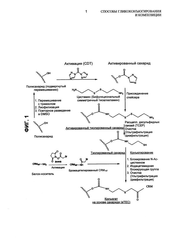 Способы гликоконъюгирования и композиции (патент 2645071)