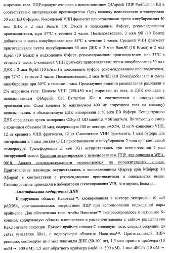 Улучшенные нанотела против фактора некроза опухоли-альфа (патент 2464276)