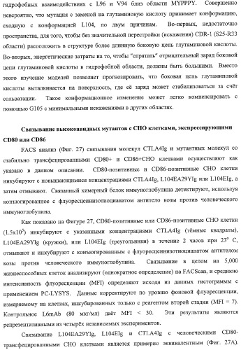 Способ лечения сердечно-сосудистого заболевания с применением растворимого ctla4 (патент 2353384)