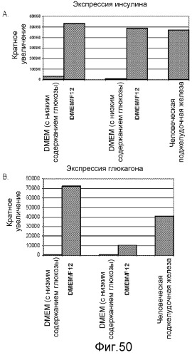 Дифференцировка человеческих эмбриональных стволовых клеток (патент 2473685)