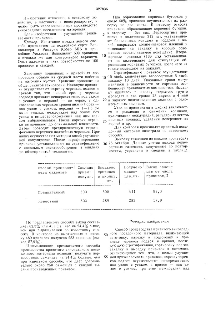 Способ производства привитого виноградного посадочного материала (патент 1327836)