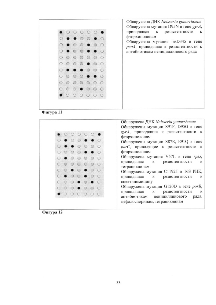 Олигонуклеотидный биочип для идентификации генетических детерминант резистентности neisseria gonorrhoeae к антимикробным препаратам, набор олигонуклеотидов, используемых для иммобилизации на биочипе (патент 2636457)