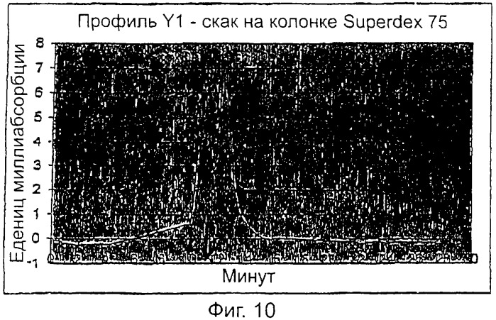Специфические антитела человека для избирательной терапии рака (патент 2316564)