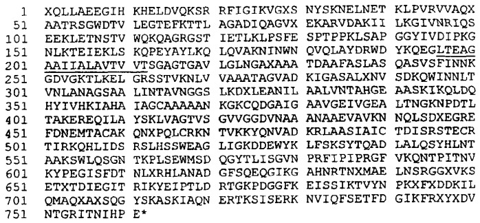 Антигены neisseria meningitidis (патент 2343159)