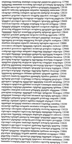 Модуляция экспрессии гентингтина (патент 2562861)