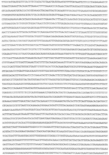 Применение s1p (патент 2362565)