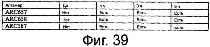 Связывающие комплемент аптамеры и средства против с5, пригодные для лечения глазных нарушений (патент 2477137)