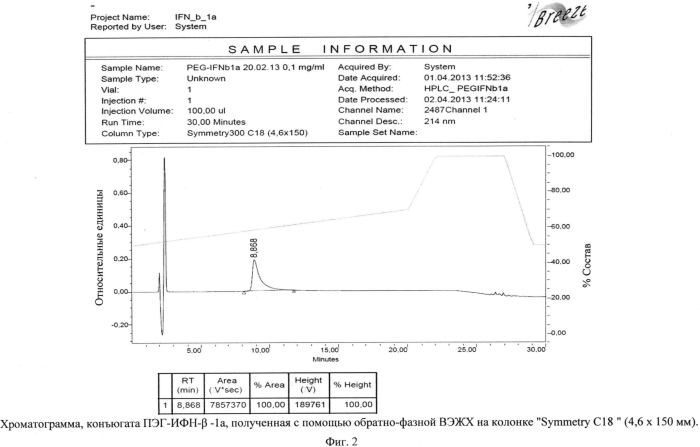 Молекула интерферона-β-1а человека, модифицированная полиэтиленгликолем, обладающая противовирусной, иммуномодулирующей и антипролиферативной активностями, с повышенной стабильностью, уменьшенной иммуногенностью, улучшенными фармакокинетическими и фармакодинамическими параметрами, пригодная для медицинского применения и иммунобиологическое средство на ее основе (патент 2576372)