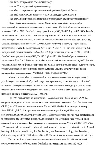 Бактерия семейства enterobacteriaceae - продуцент l-аспарагиновой кислоты или метаболитов, производных l-аспарагиновой кислоты, и способ получения l-аспарагиновой кислоты или метаблитов, производных l-аспарагиновой кислоты (патент 2472853)