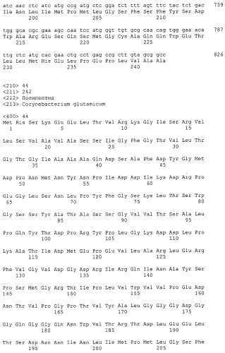 Гены corynebacterium glutamicum, кодирующие белки резистентности и толерантности к стрессам (патент 2303635)