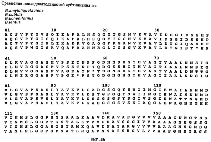 Вариант субтилизина (варианты), кодирующая его днк, экспрессирующий вектор, очищающая композиция, корм для животных, композиция для обработки ткани (патент 2252958)