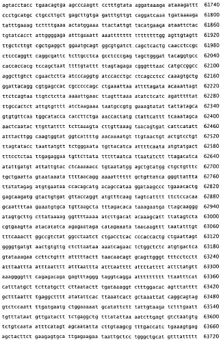 Применение s1p (патент 2362565)