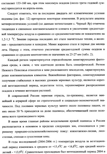 Способ возделывания яровой пшеницы предпочтительно в зоне светло-каштановых почв нижнего поволжья (варианты) (патент 2348137)