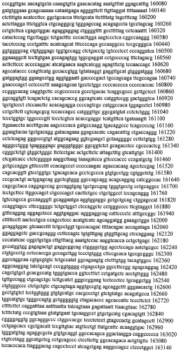Модуляция экспрессии гентингтина (патент 2562861)