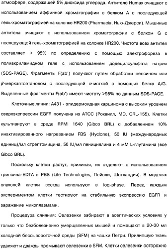 Человеческие моноклональные антитела к рецептору эпидермального фактора роста (egfr), способ их получения и их использование, гибридома, трансфектома, трансгенное животное, экспрессионный вектор (патент 2335507)