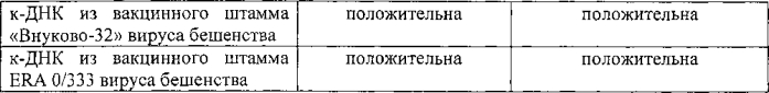 Набор синтетических олигонуклеотидных праймеров для выявления рнк вируса бешенства и способ выявления рнк вируса бешенства с помощью синтетических олигонуклеотидных праймеров в полимеразной цепной реакции с обратной транскрипцией (от-пцр) (патент 2575088)