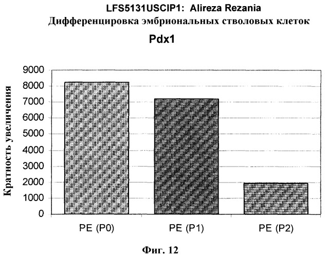Дифференцировка эмбриональных стволовых клеток человека (патент 2465323)