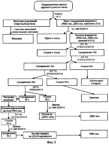 Способ получения холестеролэстеразы, трипсина, дезоксирибонуклеазы и рибонуклеазы из поджелудочной железы крупного рогатого скота (патент 2311455)