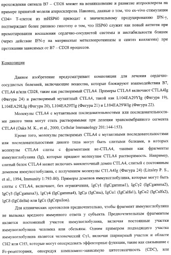 Способ лечения сердечно-сосудистого заболевания с применением растворимого ctla4 (патент 2353384)