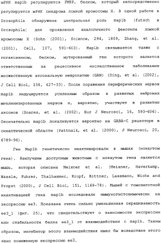 Ее3-семейство белков и соответствующие днк-последовательности (патент 2333918)