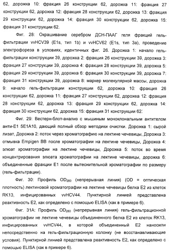 Очищенные белки оболочки вируса гепатита с для диагностического и терапевтического применения (патент 2313363)